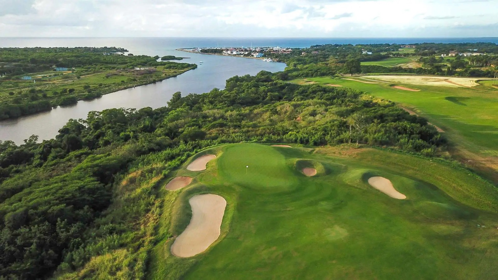 El Agave — foto 8